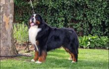 3472407459997234842777278055489808202237403n