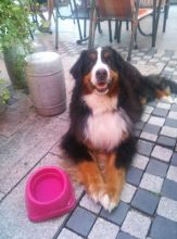 Fee-von-der-Vagabundenhttn-Sommer-2015