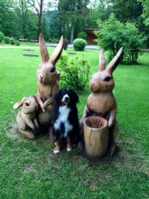 Ferenc-von-der-Vagabundenhttn-4-2015