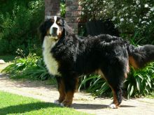 Ferris-october-2009-002