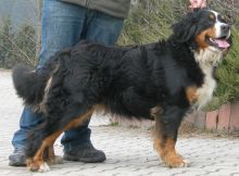 Helena-von-der-Vagabundenhttn