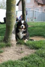 Rapunzel-von-der-Vagabudenhttn-1