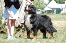 received2947576758880915