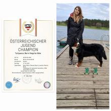 Ilvy---Jugendchapion