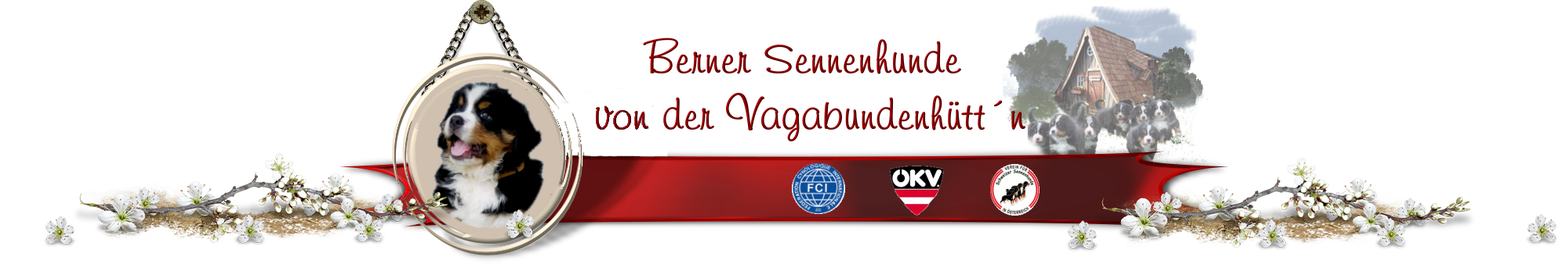 Berner Sennenhunde v.d. Vagabundenhüttn