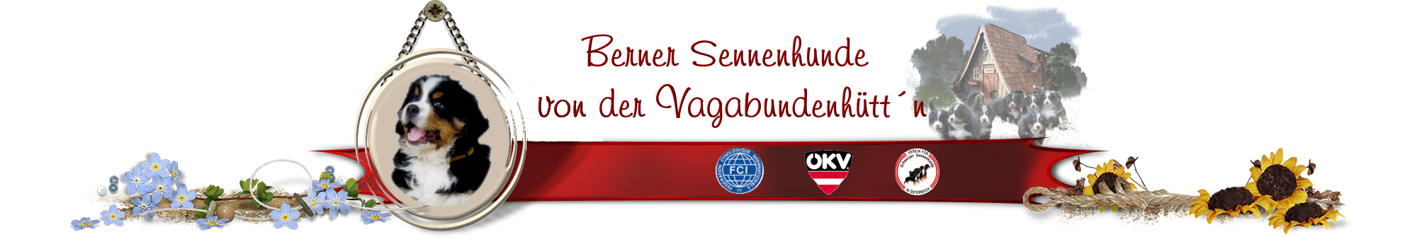 Berner Sennenhunde v.d. Vagabundenhüttn